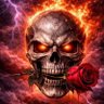 Profilbild von Reza