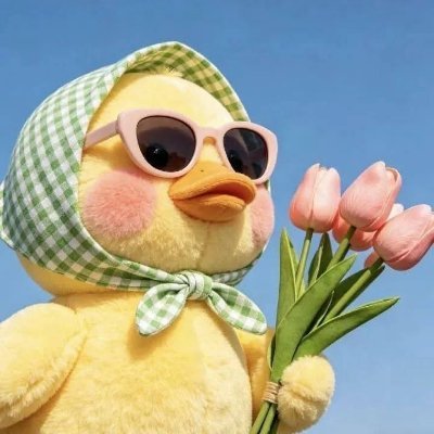 namelessbeyotch's profile picture