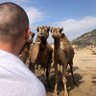 İsmail Özer profil fotoğrafı