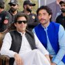 toheed PTI's profile picture
