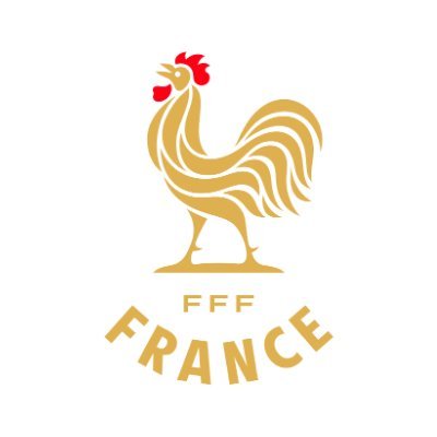 equipedefranceF's profile picture