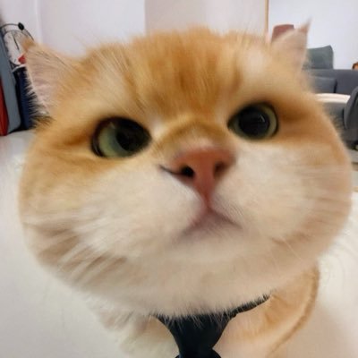 팬팬 ୨ৎ's profile picture