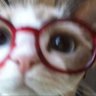 ginny profil fotoğrafı