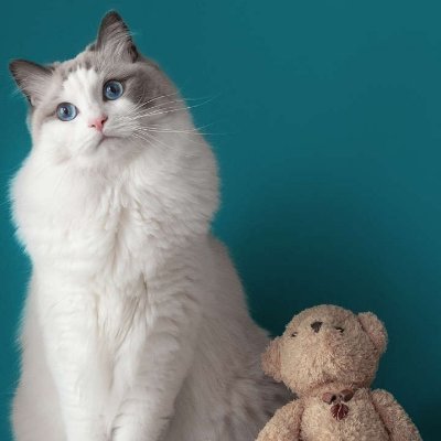 प्रवीण कुमार's profile picture