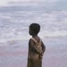 Tosin Okeowo 的头像