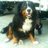 Profilbild von LC807760