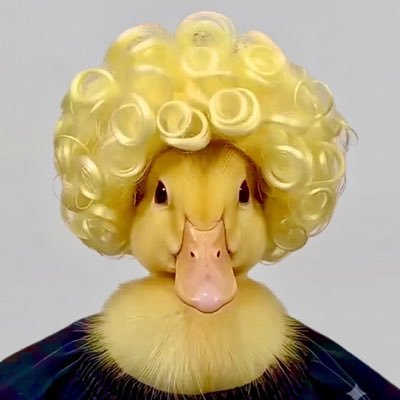 GO_MAZAYO's profile picture