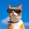 Rym's profile picture