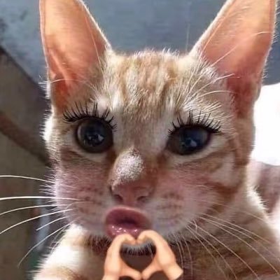 คูมป้ายล์(REST)'s profile picture