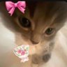 Jenin's profile picture