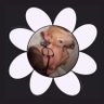 𝒻𝓇𝒶𝓃𝓈 loves ari profil fotoğrafı