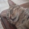 Naïs la relou 🧡🧡🧡's profile picture
