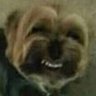 Not Dreugen's profile picture