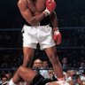 BoxingxArena 的头像
