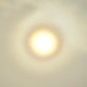 96's profile picture