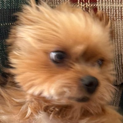 kalen's profile picture