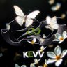 Kevv's profile picture