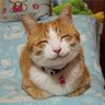 гекторкью/yudamix! profil fotoğrafı