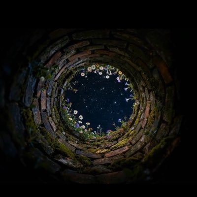 ValenciaN___'s profile picture