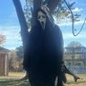 Фото профиля Ghostface