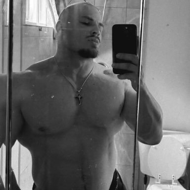 Gorilla's profile picture