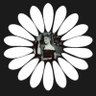 Yveskayleeꕤ profil fotoğrafı