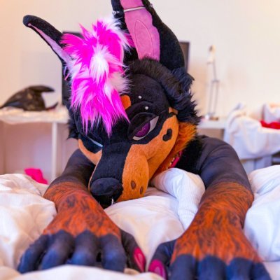 PupBropix's profile picture