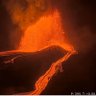 Kīlauea Katt profil fotoğrafı