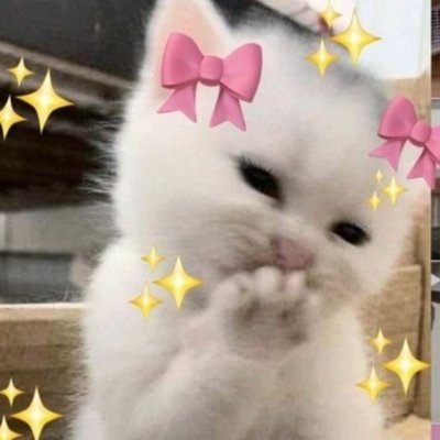 vvisnelibrowni's profile picture
