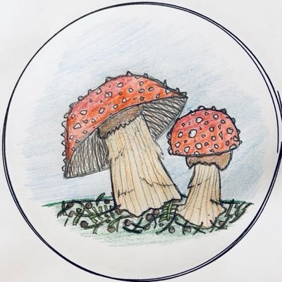 GΔRRΞTT's profile picture