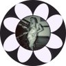 ꕤ sage #1 freak stan's profile picture