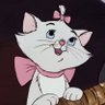 Profilbild von gecko ₊˚⊹♡