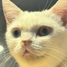 Фото профиля lilbrothegoodboy