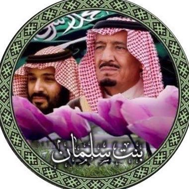 bntsalmann12's profile picture