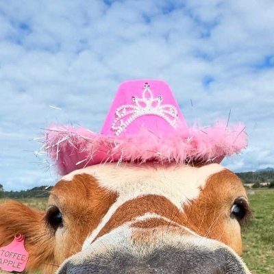 Su | La Chamana🔮's profile picture