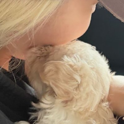 포리's profile picture