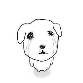 배우들이 나라다's profile picture