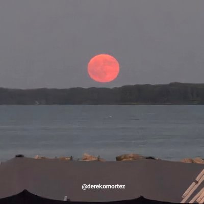 Livin' at the Lake's profile picture