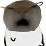 Profilbild von 猫猫