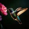 老约翰塞维斯 profil fotoğrafı
