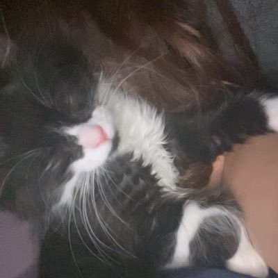 d__i0s's profile picture