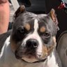Profilbild von Duane