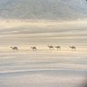 Фото профиля هاجس الصحو