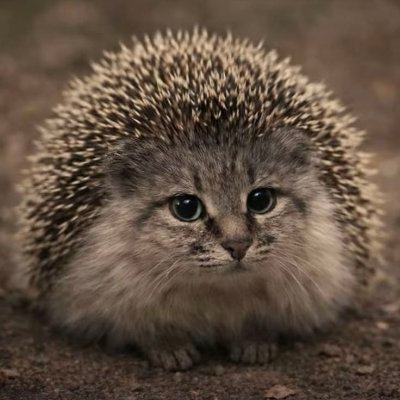 molten's profile picture
