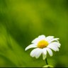 Фото профиля atsumin_serena