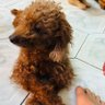 PhanHuy 的头像