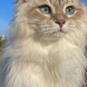 VastExpanse's profile picture