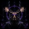 Фото профиля Heavy Moose
