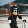 Ash Coywolf's profile picture