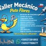 Patonuevo's profile picture